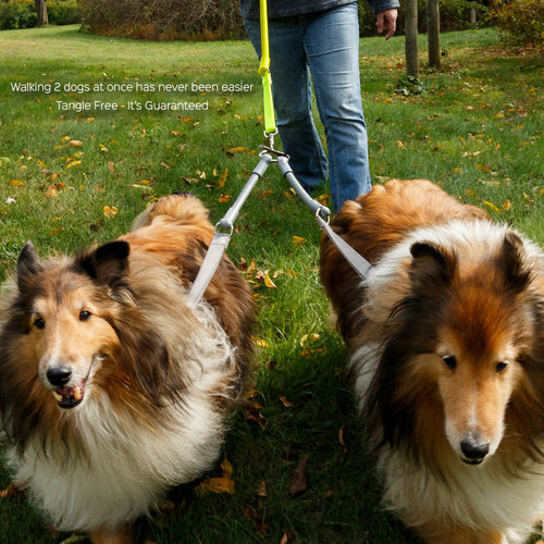 2 Dogs on 1 Leash - CRAZYcoupl'r